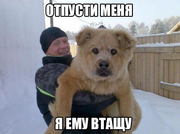   - 17  2015  05:05