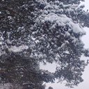 ���� �������, ������, 50 ��� - ��������� 9 ������ 2016 � ������ ���� ����������