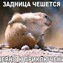  ,  -  17  2015    