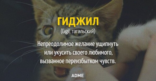 10 ����, ������� ��� � ������� �����.������ ��� ���� ��������� ��������� � �������� ��� �� ... - 7