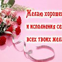  , , 58  -  8  2015    
