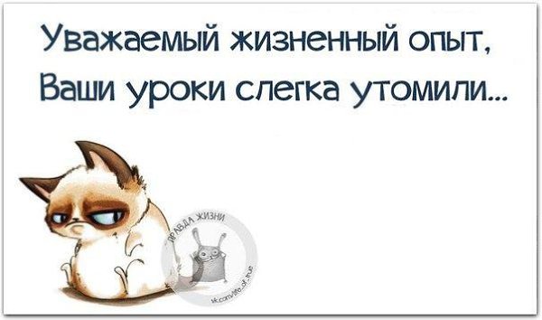   - 3  2016  16:13