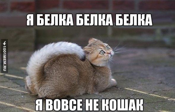 ((9(( - 17  2015  18:04