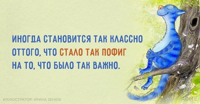   - 3  2015  06:31