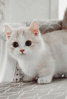   :) - 4