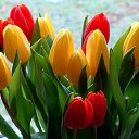 ���� ������, ������������ - ��������� 1 ����� 2016 � ������ ������ ��������