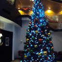 ���� �����, ������������, 51 ��� - ��������� 1 ������� 2015 � ������ ����������, 2011 �