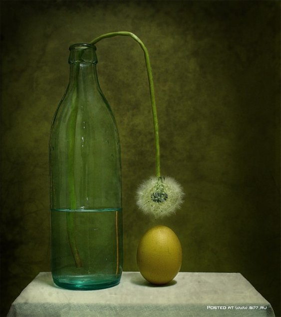 Still Life... George Rustchev - 20