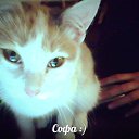 ���� ������, ������ - ��������� 4 ������ 2015 � ������ ���� ���� ������