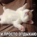 ���� �������, ������ - ��������� 12 ������� 2015 � ������ ���������