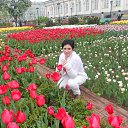 ���� ���������, ������, 59 ��� - ��������� 26 ������ 2015