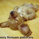 ���� ����, ������, 54 ���� - ��������� 22 ������� 2016 � ������ �������������