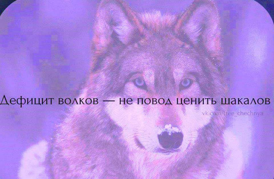  - 19  2016  12:55