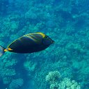  , , 59  -  16  2015    Ż