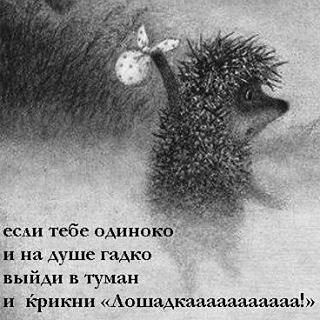 ) - 15  2015  23:01