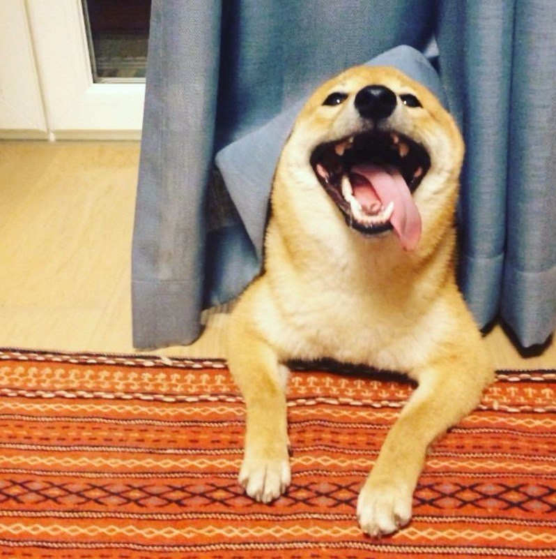 ,  - ,        !