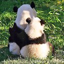 ���� ������, ����-��������� - ��������� 17 ������� 2016 � ������ ���� ����������