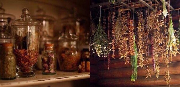 ОЧИЩЕНИЕ ОРГАНИЗМА ТРАВАМИ (РЕЦЕПТЫ НАСТОЕВ).Очищение организма травами делится на несколько ...