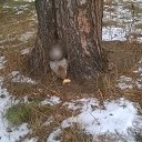 ����� ����������... �� ������� ���� "������ �����" �����