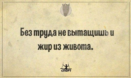 SportFeed - 9  2015  10:16