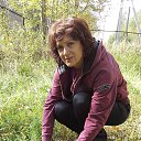   , --, 66  -  12  2016    