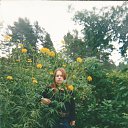 ���� �������, �������� - ��������� 1 ������ 2016 � ������ ���� ����������