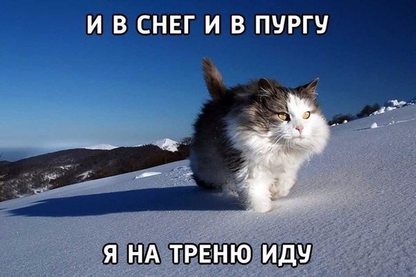    |   - 9  2016  18:48