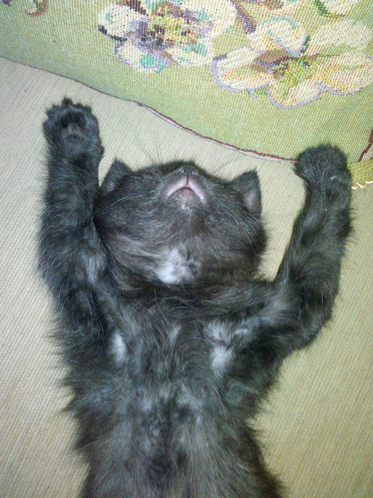  ))