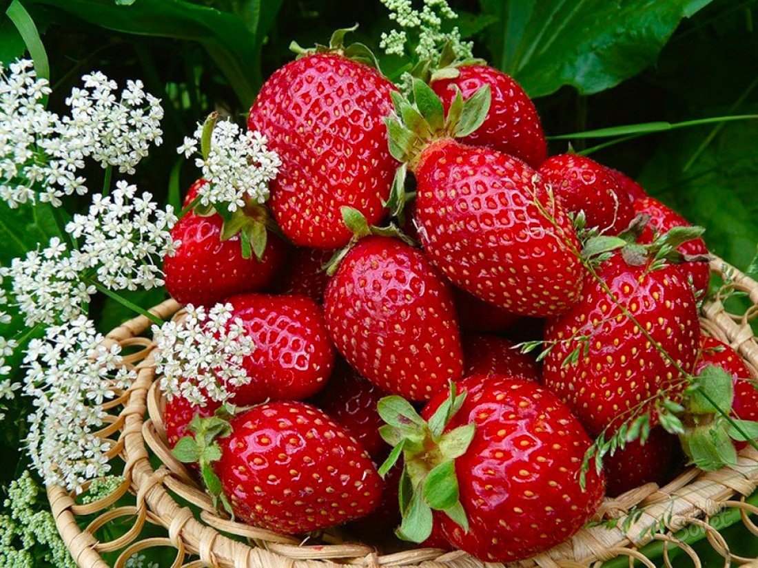   ?).#foodporn@bon.appetit