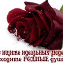 ���� ��������, ���������� - ��������� 10 ������ 2016 � ������ ������ ��������