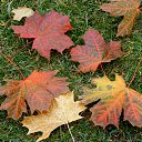 ���� �����, �����, 64 ���� - ��������� 9 ������ 2015 � ������ ��������� ����. 25.10.2015�