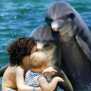  Sergey, , 56  -  6  2016    