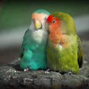 ���� ��������, ���, 43 ���� - ��������� 7 ������� 2016 � ������ ������ ��������