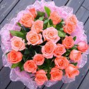 ���� ���������, ������, 45 ��� - ��������� 27 �������� 2015 � ������ ���� ����������