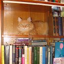  , , 81  -  25  2016   Timeline Photos