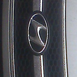 Timur, �����-���������, 49 ���