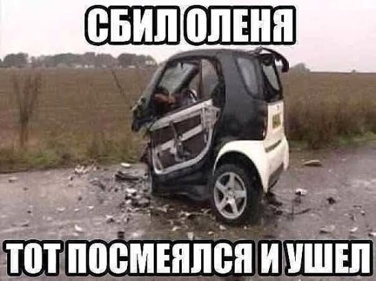 ***Victoria Viktorovna*** - 20  2016  13:25