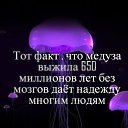 ���� Alexander, ������, 58 ��� - ��������� 23 ������ 2015 � ������ ������ ��������