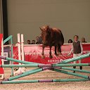 ���� ������, �����-���������, 70 ��� - ��������� 4 ������� 2015 � ������ ��� ������ �������� � �����-����������