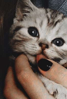   :)