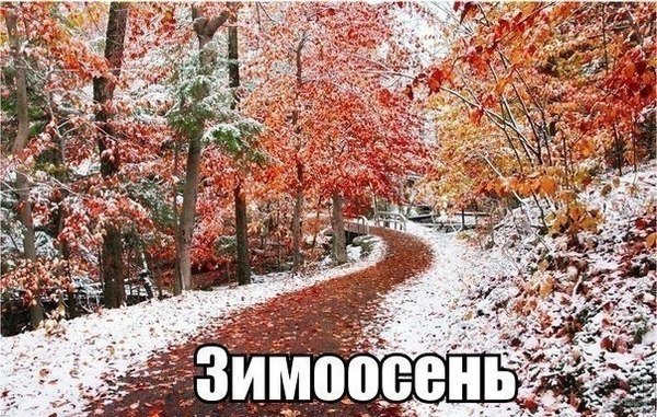  - 25  2015  04:52
