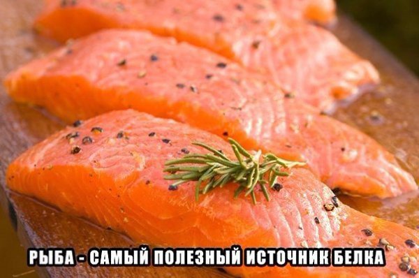 Пользу жирной рыбы сравнили с действием лекарств.Результаты мета-анализа, опубликованные сегодня в ...