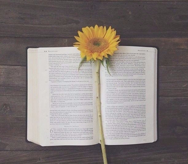 10 великих книг мира с глубоким смыслом.1. Жан-Поль Сартр — "Тошнота"Тошнота - это суть ...