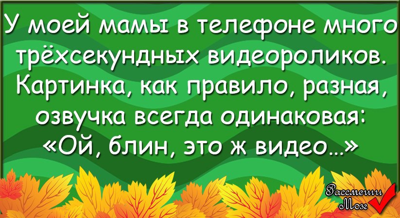  - 29  2015  04:02