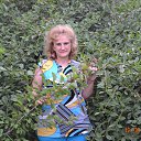 ���� ������, ��������� - ��������� 3 ������� 2015 � ������ ���� ����������