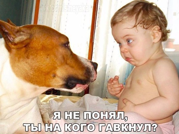   - 11  2015  15:07