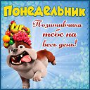 ���� ����, �����, 60 ��� - ��������� 8 ������� 2016 � ������ �������� ��������