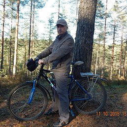 ���� ������, �����-���������, 71 ��� - ��������� 24 ������� 2015