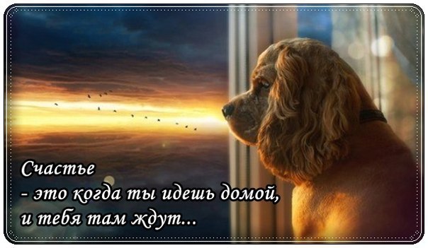   - 1  2015  03:58