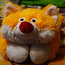   !  ! ,        .    .    -